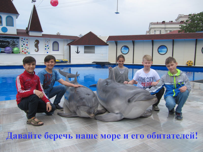 Давайте беречь наше море и его обитателей!
