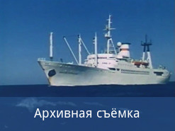 Ковчег в Океане