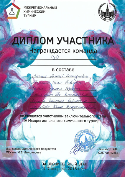 Диплом участника, выданный команде И. Довгого