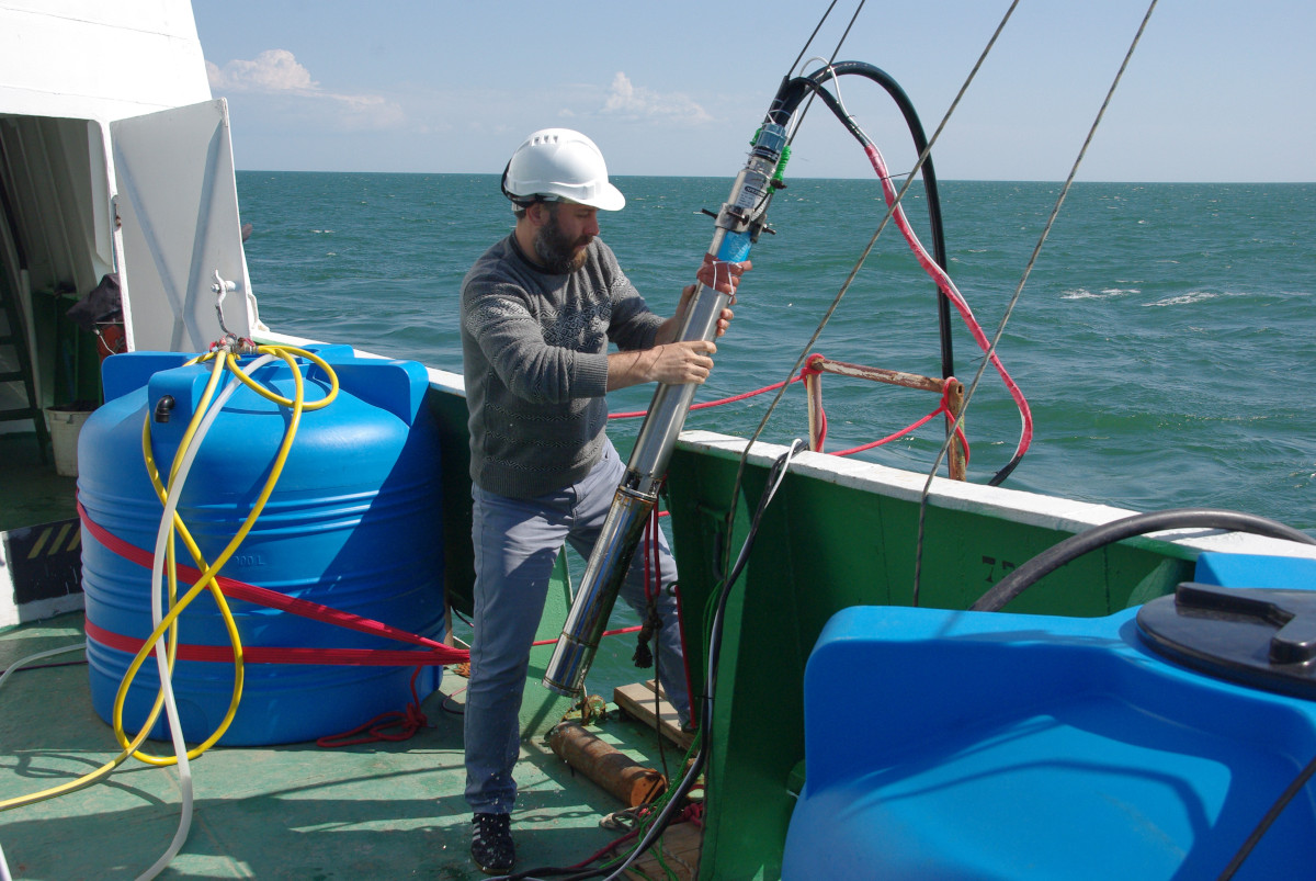 Автор статьи