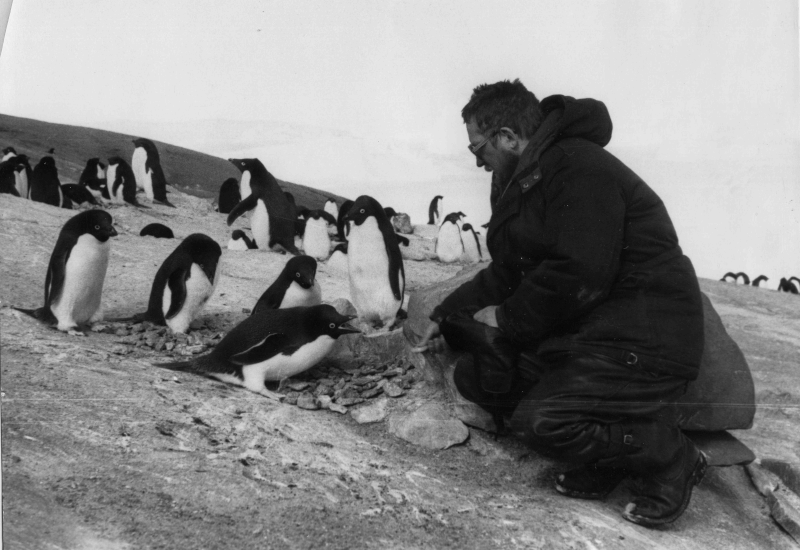 Исследования в Антарктиде