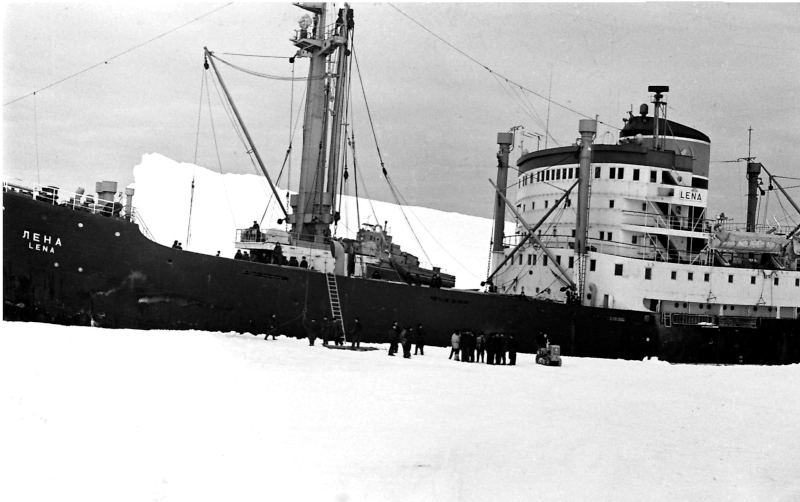 Разгрузка теплохода «Лена»