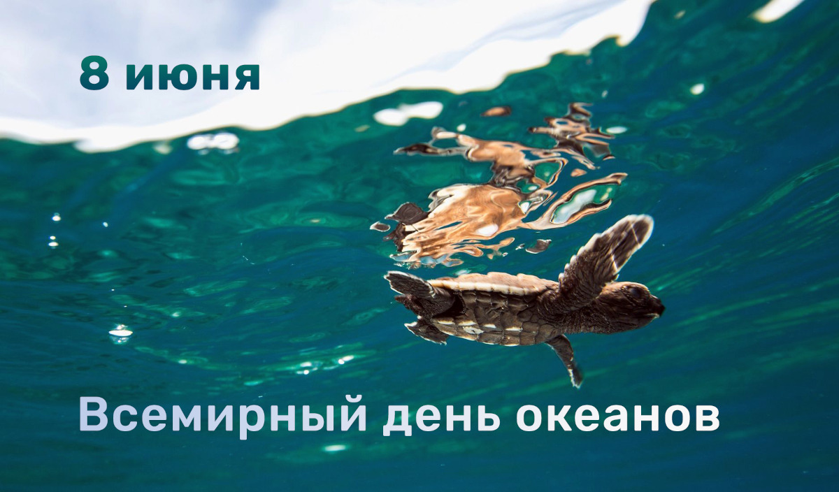 С Всемирным днем океанов