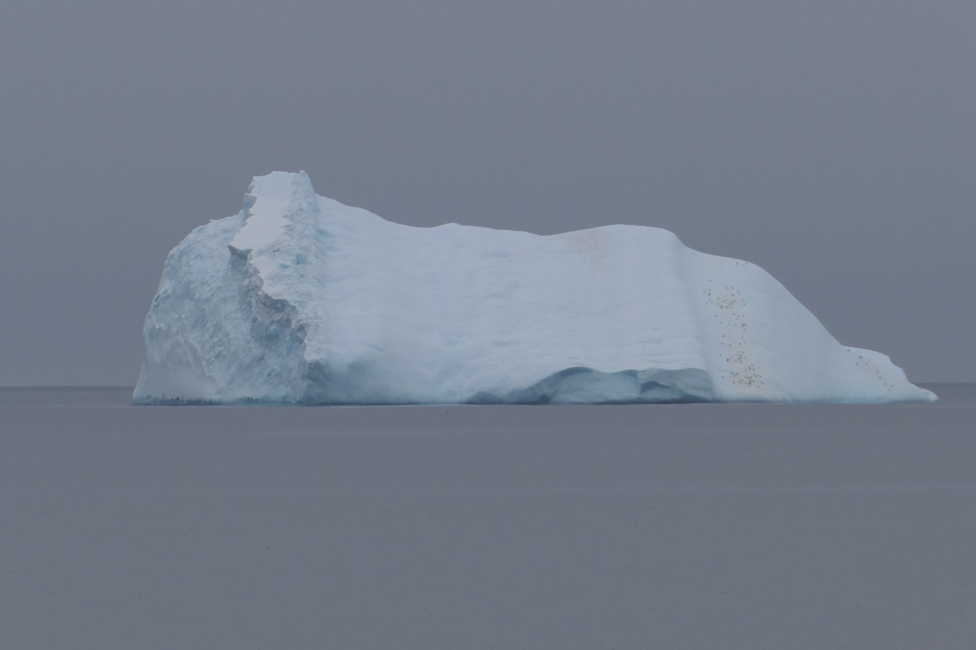 Айсберг