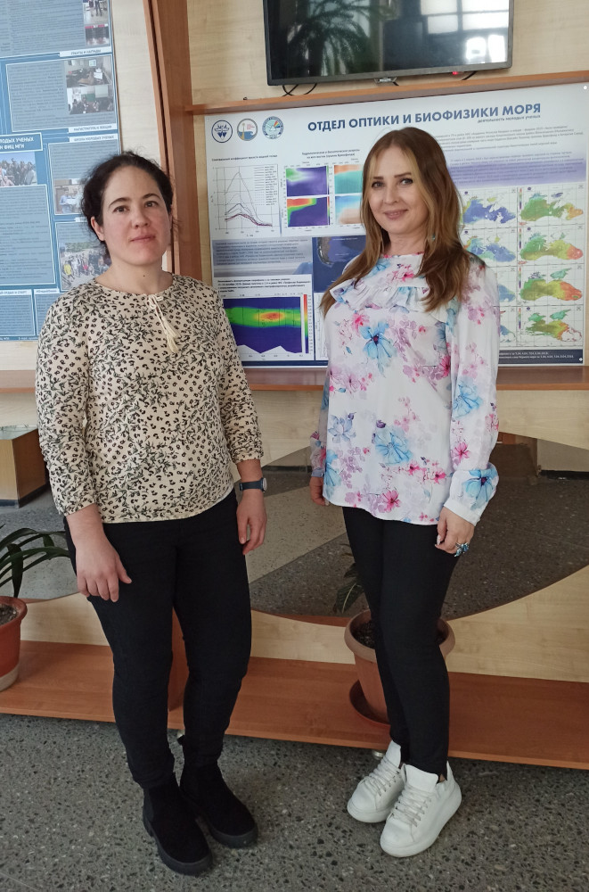 Соавторы публикации