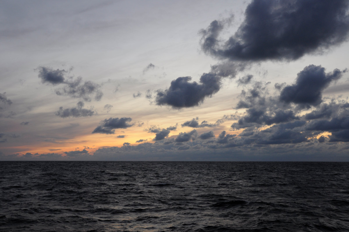 С Всемирным днем океанов