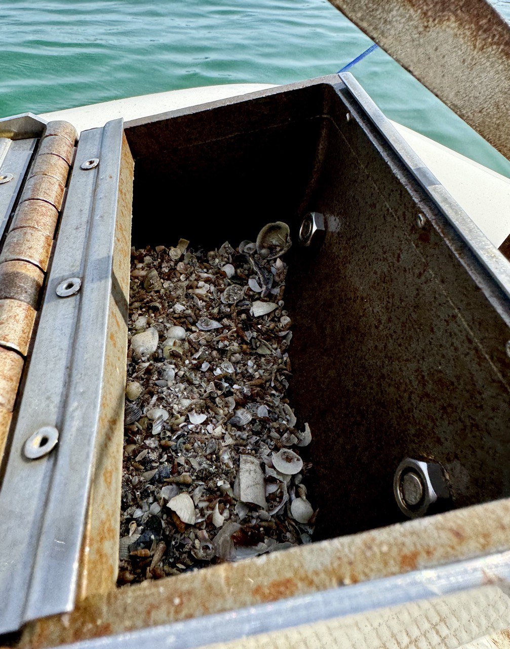 Донные отложения в бухте Круглая