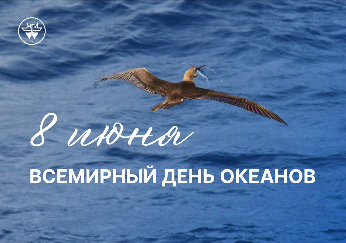 С Всемирным днем океанов