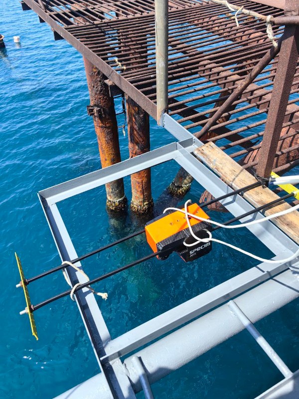 Комплексные исследования дна