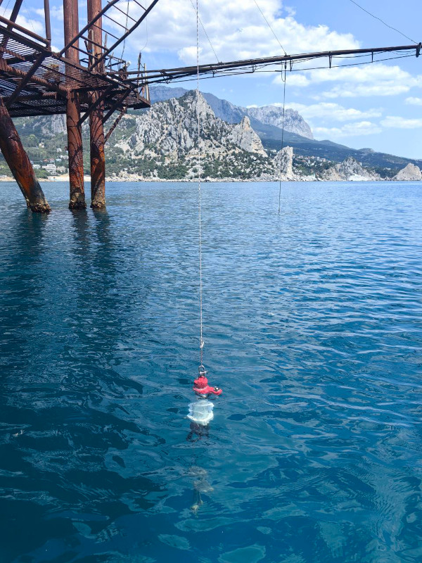 Постановка буев с термокосами