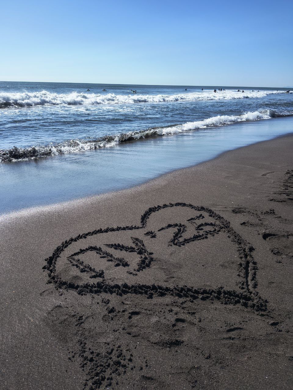 Арктическая экспедиция в рамках программы «Плавучий университет»