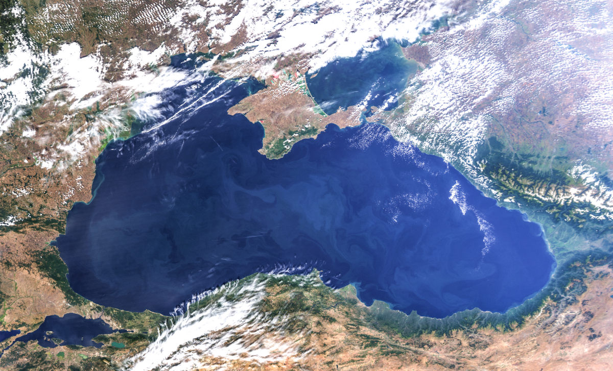 «Цветение» водорослей в глубоководной части Чёрного моря