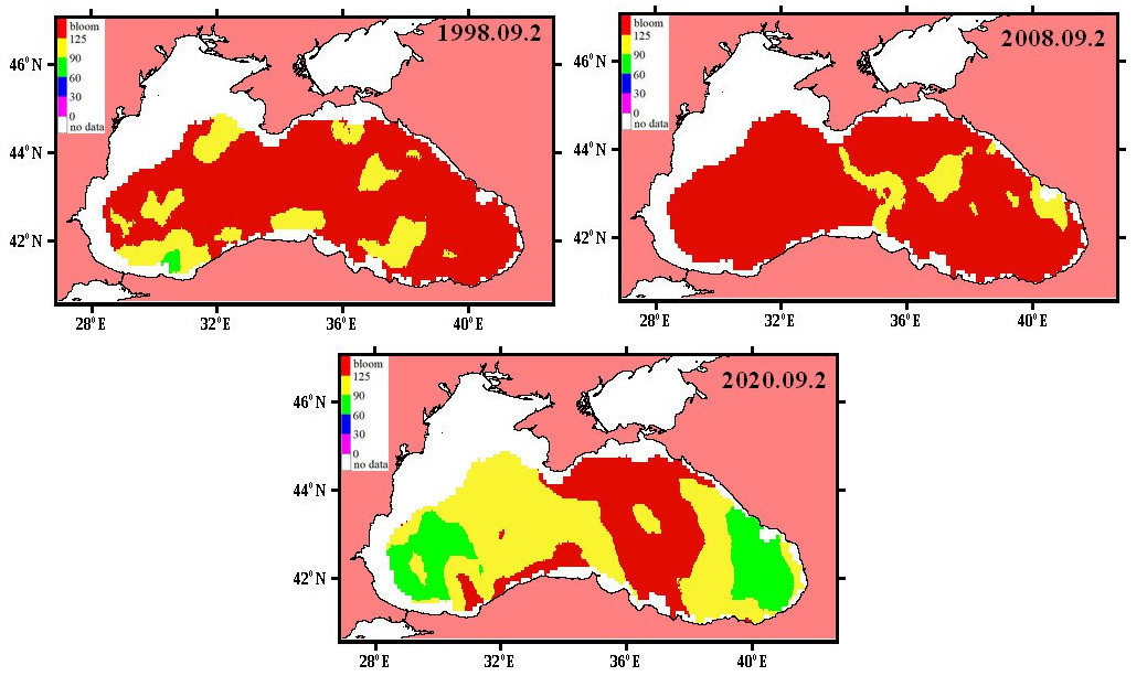 «Цветение» водорослей в глубоководной части Чёрного моря