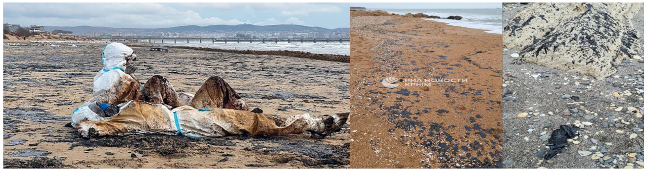 Исследование последствий разлива мазута