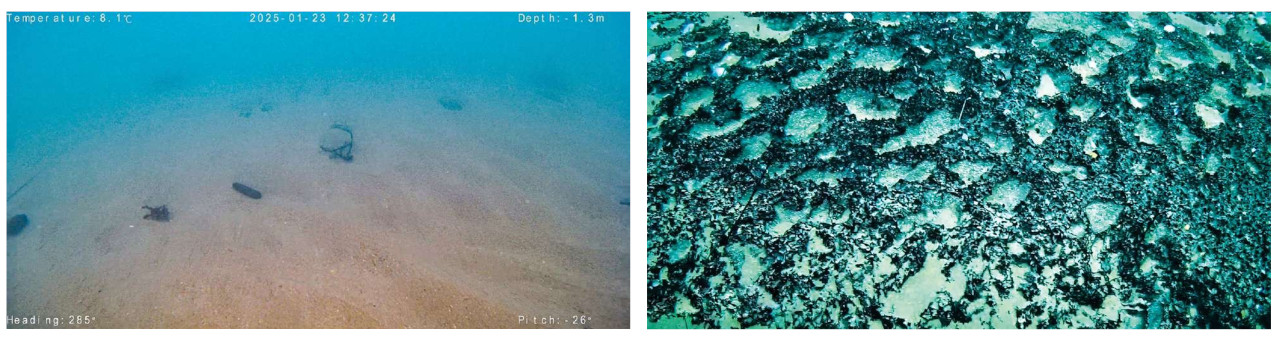 Исследование последствий разлива мазута